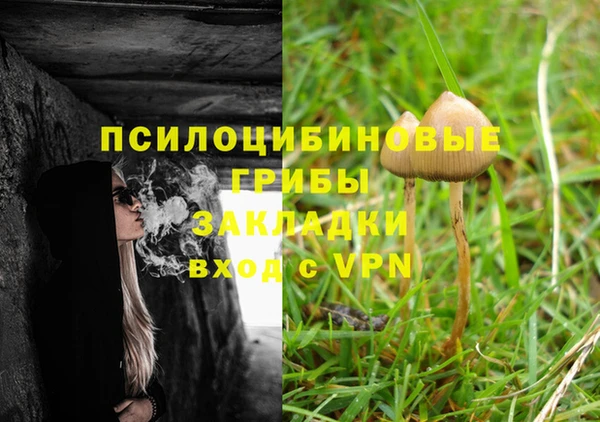 спайс Алексеевка