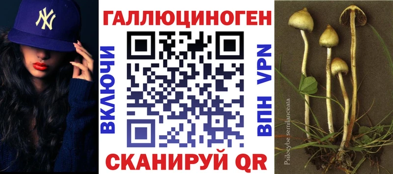 Псилоцибиновые грибы Magic Shrooms  хочу наркоту  Зеленоградск 