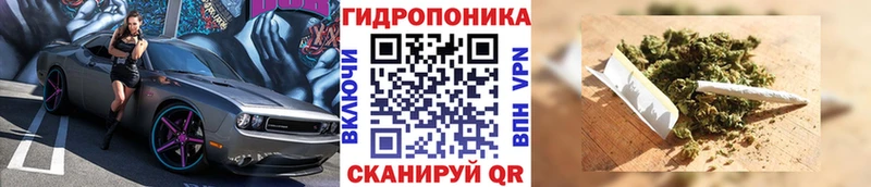 МАРИХУАНА сатива блэк спрут как зайти Зеленоградск